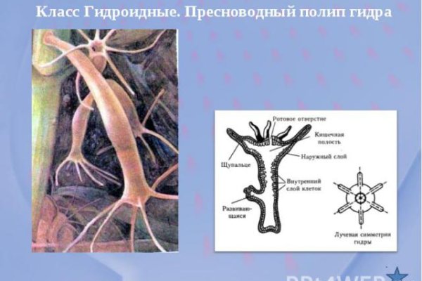 Кракен kr2web in сайт официальный